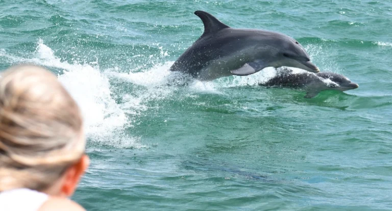 Mandurah